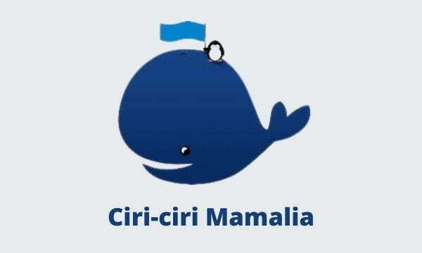 Ciri-ciri mamalia