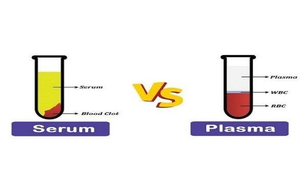 Perbedaan Antara Plasma dan Serum