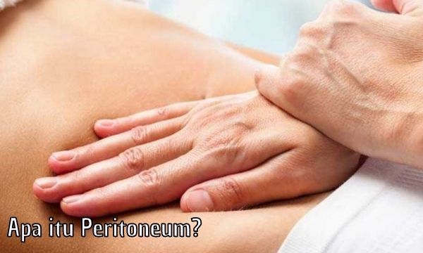 Apa itu Peritoneum?