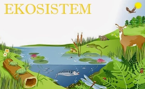 Pengertian Ekosistem dalam Biologi