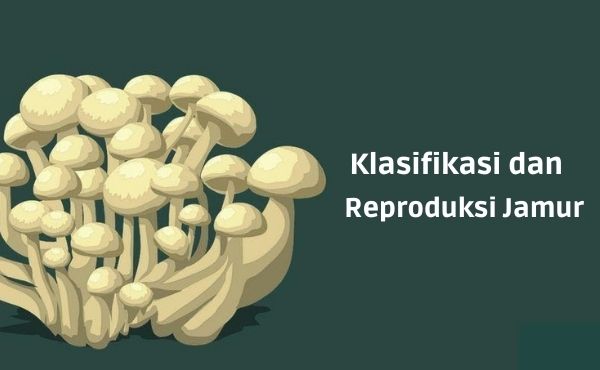 Klasifikasi Dan Reproduksi Jamur Teknowarta