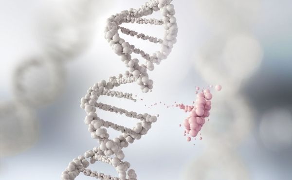 Apa itu Mutasi Genetik?