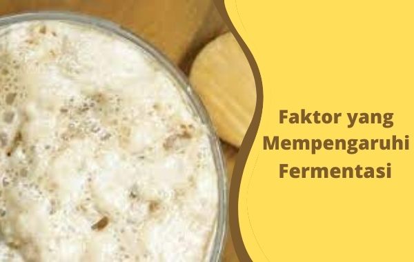 Faktor yang Mempengaruhi Fermentasi