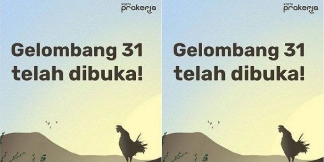 Syarat dan Cara Daftar Kartu Prakerja Gelombang 31 di www.prakerja.go.id