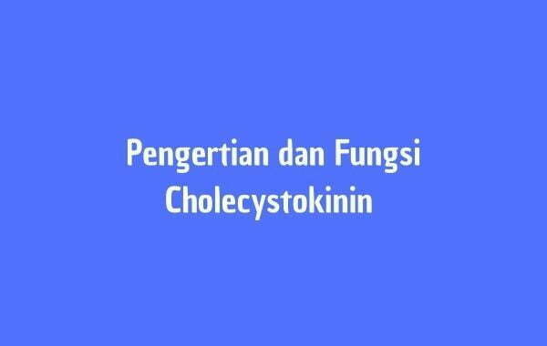 Pengertian dan Fungsi Cholecystokinin