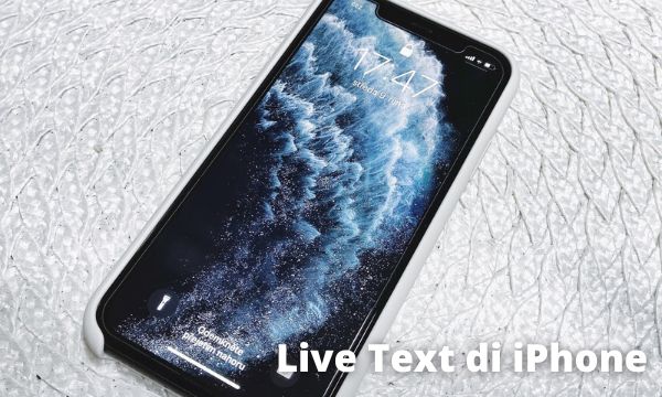 Cara Mengaktifkan Live Text di iPhone dan Cara Menggunakannya